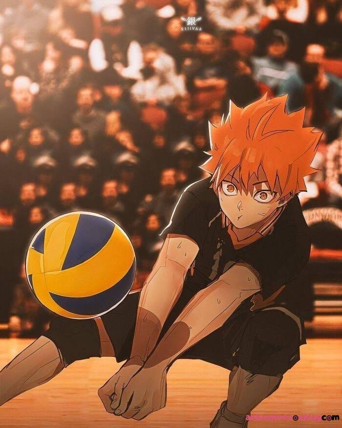 hình ảnh anime bóng chuyền siêu ngầu